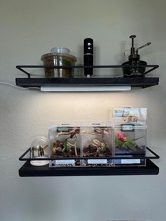 ASOKO Under Cabinet Led Lighting, 12 Inch Light Strip Bar, Daylight White 5000K Dimmable Plug in USB Light, Small Thin Led Under Counter Lighting for Kitchen/Room/Shelf/Desk/Display Case